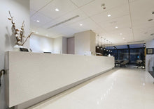 Load image into Gallery viewer, LG / LX Hausys Interior Film ML75
