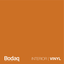 Load image into Gallery viewer, Interieur Folie BODAQ S169
